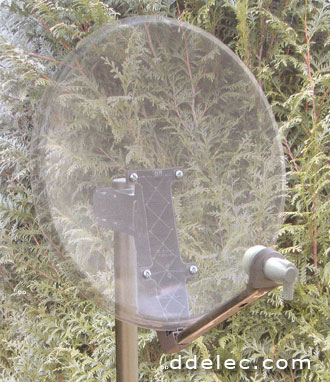 transparent dish